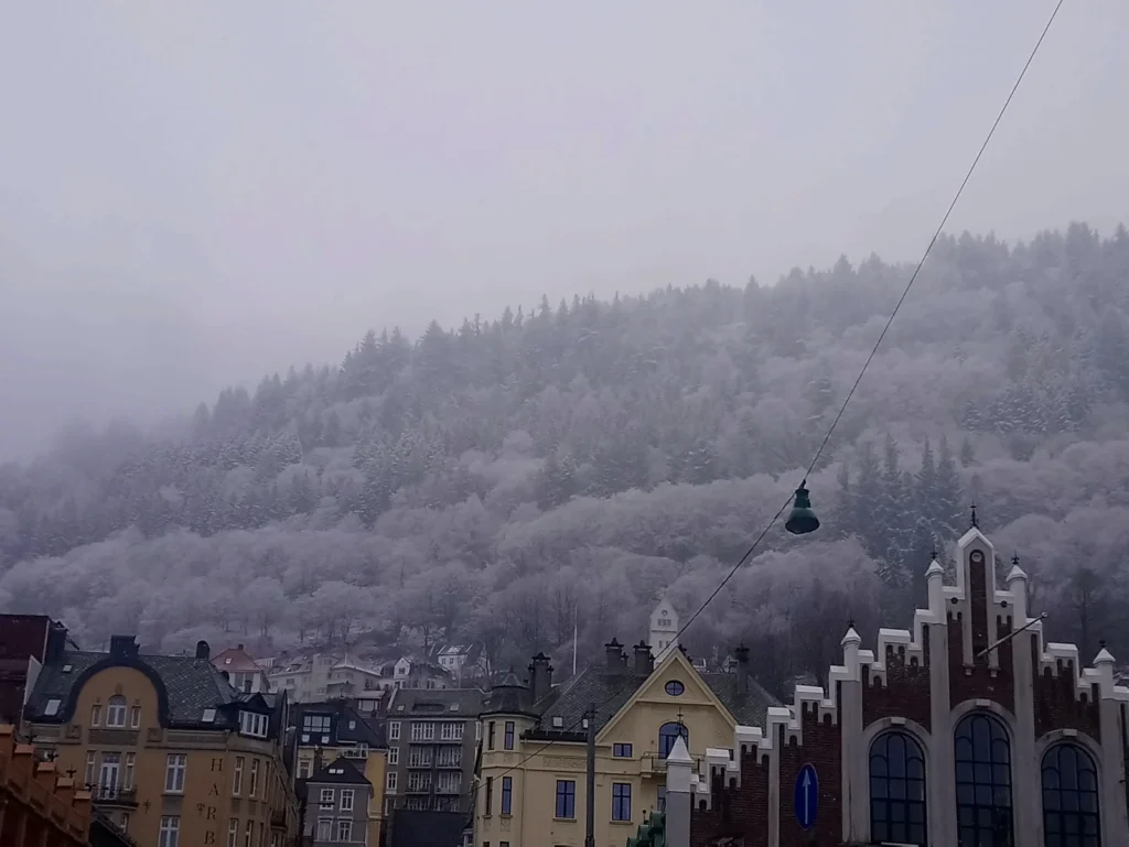 Bergen in de winter