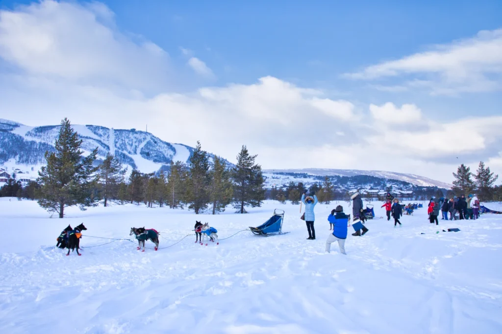 husky tour geilo