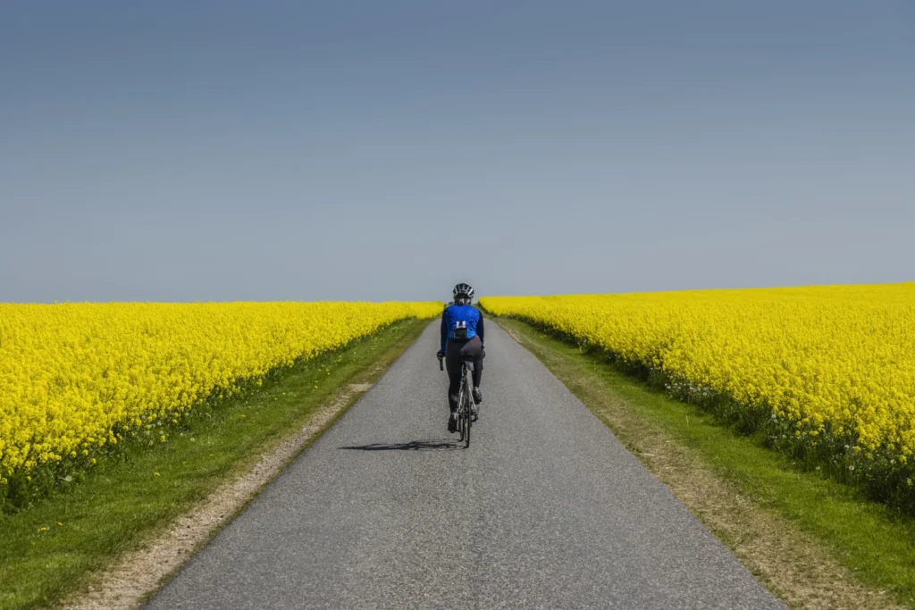 fietstocht thy nationaal park