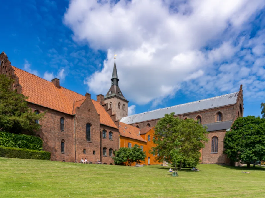 Domkerk in Odense