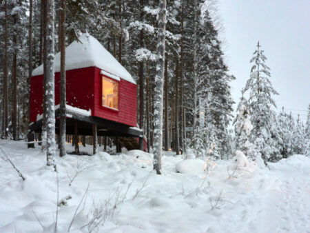 10 Boomhut hotels in Scandinavië