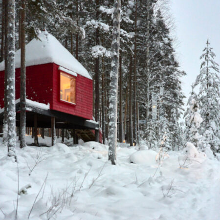 10 Boomhut hotels in Scandinavië