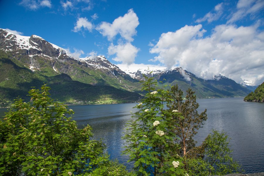 Hardangerfjord Bergen Noorwegen