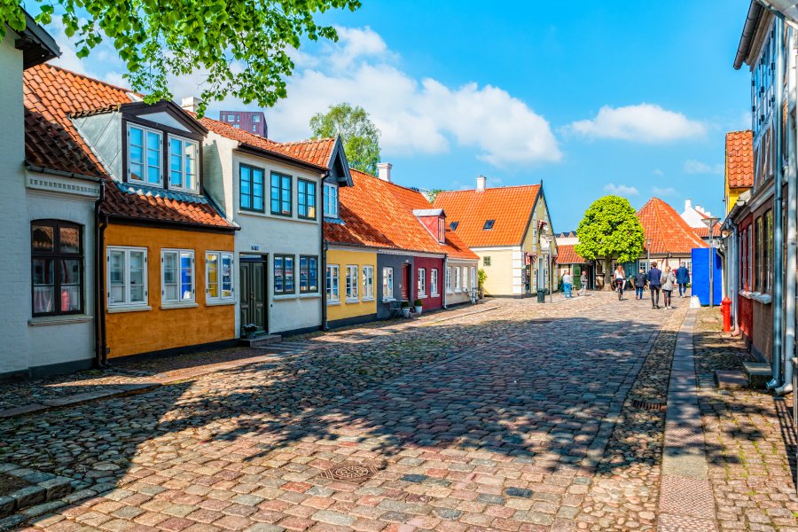 Historisch Odense