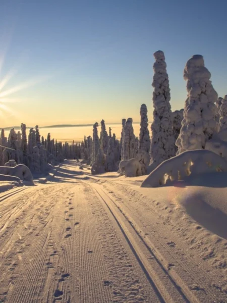 Finland voor een onvergetelijke vakantie